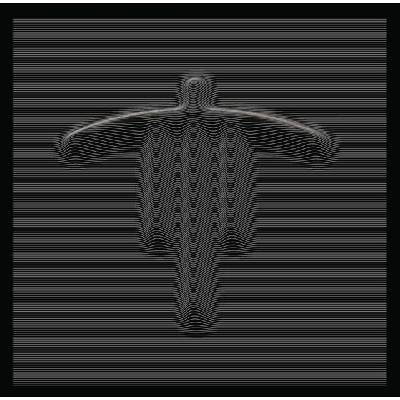 Stroon • Songs Of Concealed Amplitude LP