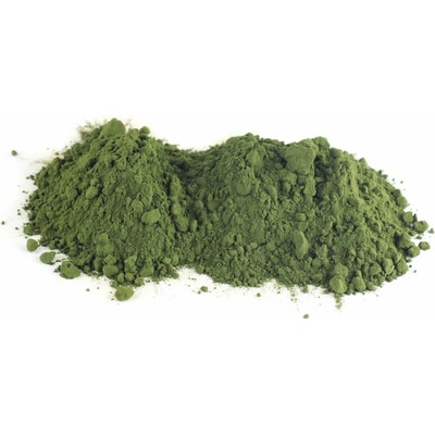 Algea Feed Spirulina Sladkovodní řasa pro psy 500 g