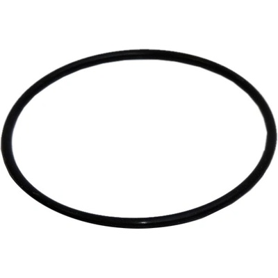 Marimex 10624105 O-kroužek pro filtraci BlackStar 2 / ProStar 2