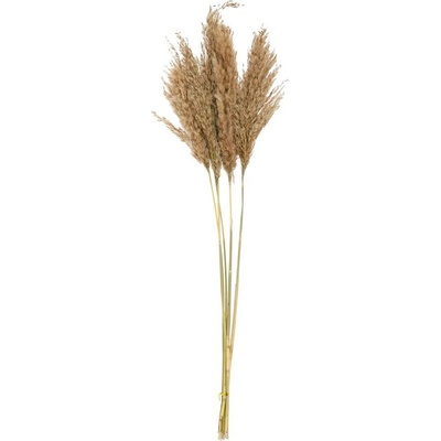 TRÁVA SUŠINA NATURAL