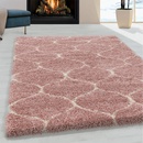 Ayyildiz Salsa Shaggy 3201 rose