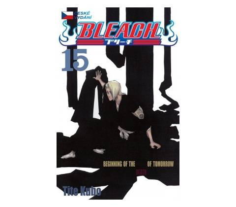 Bleach 15 - Tite Kubo