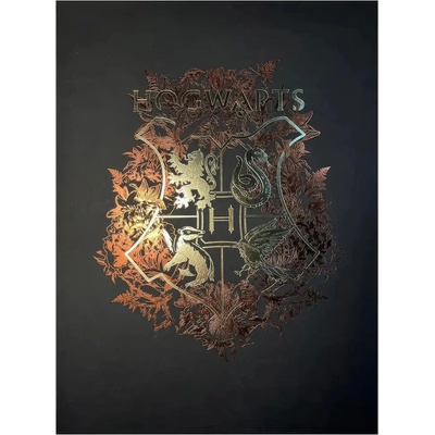 imago Obraz Harry Potter - Znak Bradavic