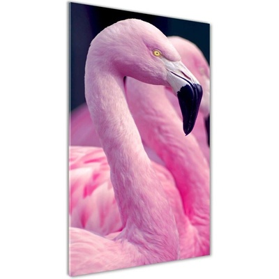 Vertikálny foto obraz sklenený Plameňáci 50x100 cm