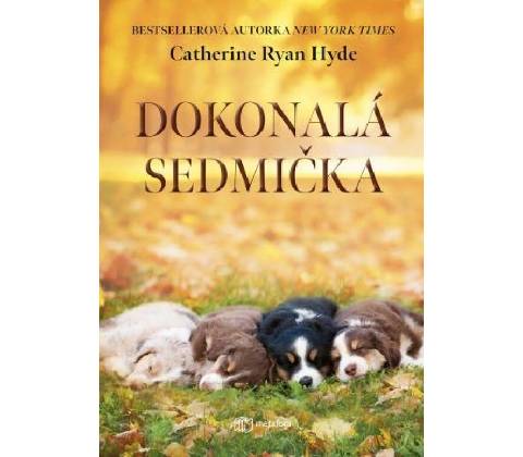 Dokonalá sedmička