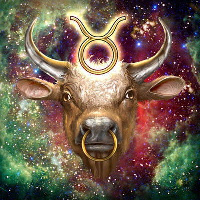 Gaira® Malování podle čísel Zvěrokruh Býk M425 ♉