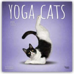 Browntrout Verlags GmbH Yoga Cats - Katzen Yoga 2026 - 16-Monatskalender | BrownTrout Publishers Inc
