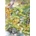 Bluebird Puzzle - Puzzle Forest Animals II - 1 000 piese