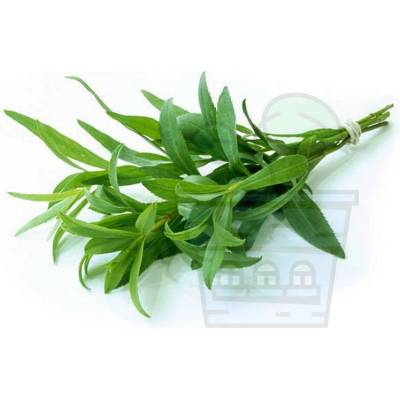 Семена от Естрагон 0.5 гр / ± 2500 бр (343000)