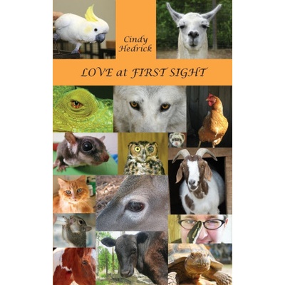 Love at First Sight | Cindy Hedrick