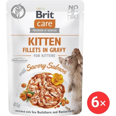 Brit Care Cat Fillets in Gravy Savory Salmon 6 x 85 g