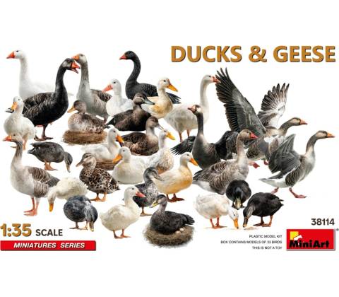 MiniArt Ducks & Geese 1:35