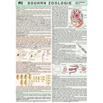 Souhrn zoologie pro střední školy
