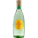 Big Kahuna Gin Pineapple 40% 0,7 L (čistá fľaša)