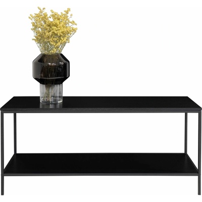 House Nordic Vita 100x36x45 cm – Zboží Dáma