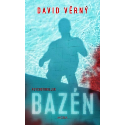 Bazén - David Věrný