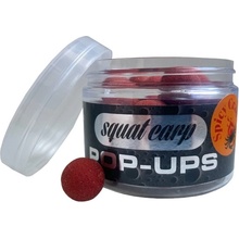 SQUAT CARP Pop Up Spicy Crab 60g 16mm