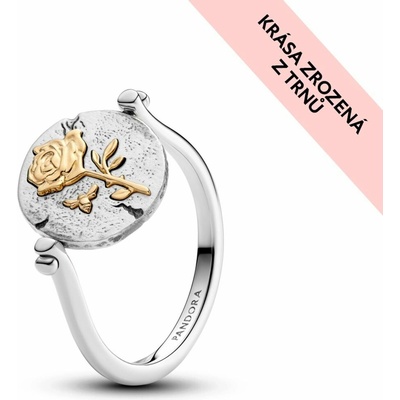 Pandora 164811C00 – Zbozi.Blesk.cz