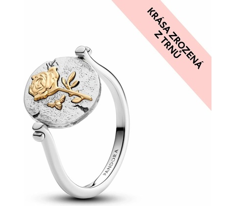 Pandora 164811C00