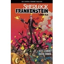 Černá palice 3: Sherlock Frankenstein a Legie zla - Jeff Lemire, David Rubín