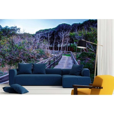 Dimex MA-5-0643 Samolepicí vliesová fototapeta na zeď Dřevěná cestička rozměry 375 x 250 cm