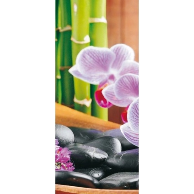 Preinterier DV0046 Fototapeta na stenu Kvety a kamienky vlies 91cm x 211cm