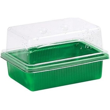 Slovakia Trend Herrison P2016, na priesady, 19.7x14x11 cm