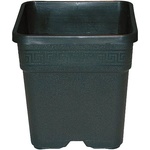 Pasquini e Bini Квадратна Саксия Vega Black P&B 2л (8014)