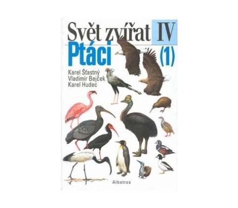 Pt áci 1