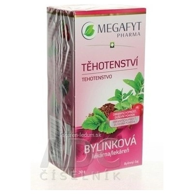 MEGAFYT Bylinková lekáreň Tehotenstvo porciovaný čaj 20 x 1,5 g