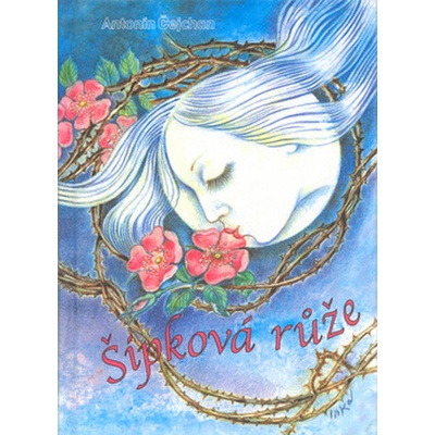 Šípková růže - Antonín Čejchan