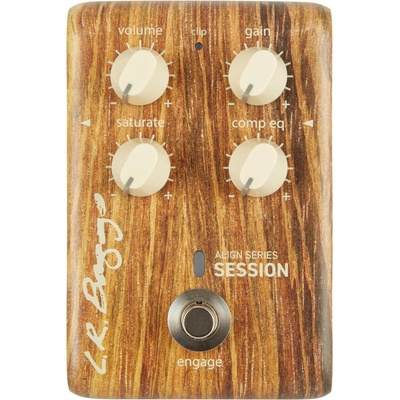 L.R. Baggs Align Session