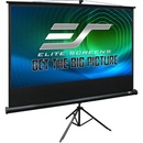 Elite Screens T120UWV1