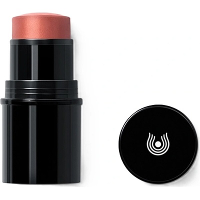 Dr. Hauschka Руж и червило 2 в 1, 01 Apricot, 6.1 g