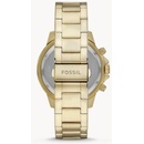 Fossil BQ2493