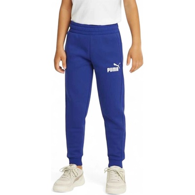 PUMA Essentials 2 Color Logo Track Pants Blue