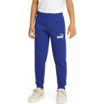 PUMA Essentials 2 Color Logo Track Pants Blue - magazinko