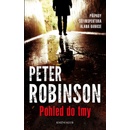 Pohled do tmy - Peter Robinson