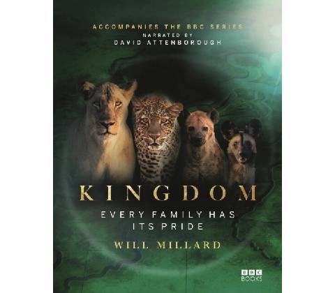 Kingdom - Will Millard