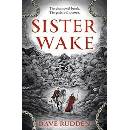 Sister Wake - Dave Rudden