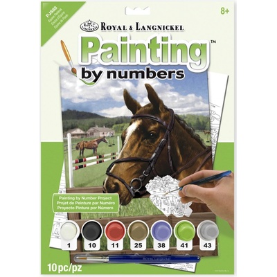 Malování podle čísel Kůň v ohradě