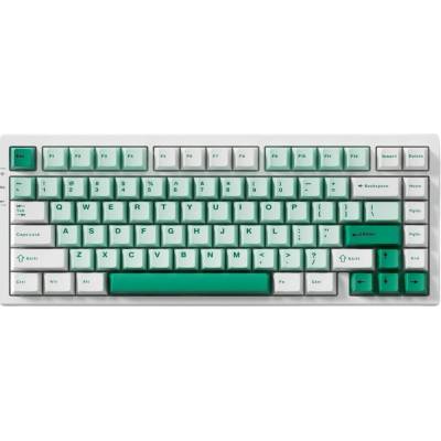 MCHOSE G75-4A