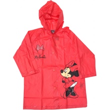 EplusM Minnie Mouse