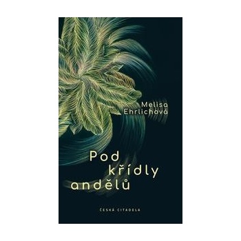 Pod křídly andělů