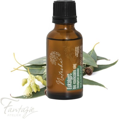 Natasha Bio esenciální olej Eukalypt 30 ml