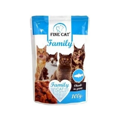 Fine Cat Family s rybou 24 x 100 g