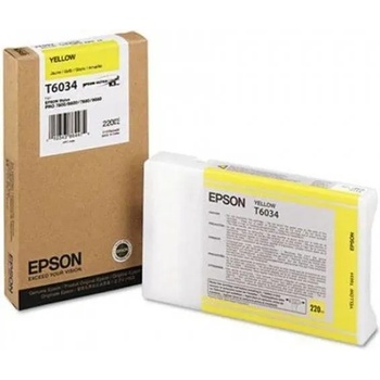 Epson T6034
