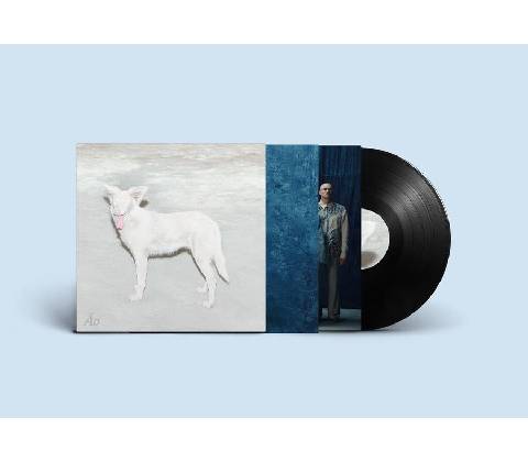 AO - Malandra LP