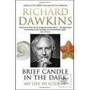 Brief Candle in the Dark