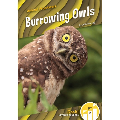 Animal Pranksters: Burrowing Owls